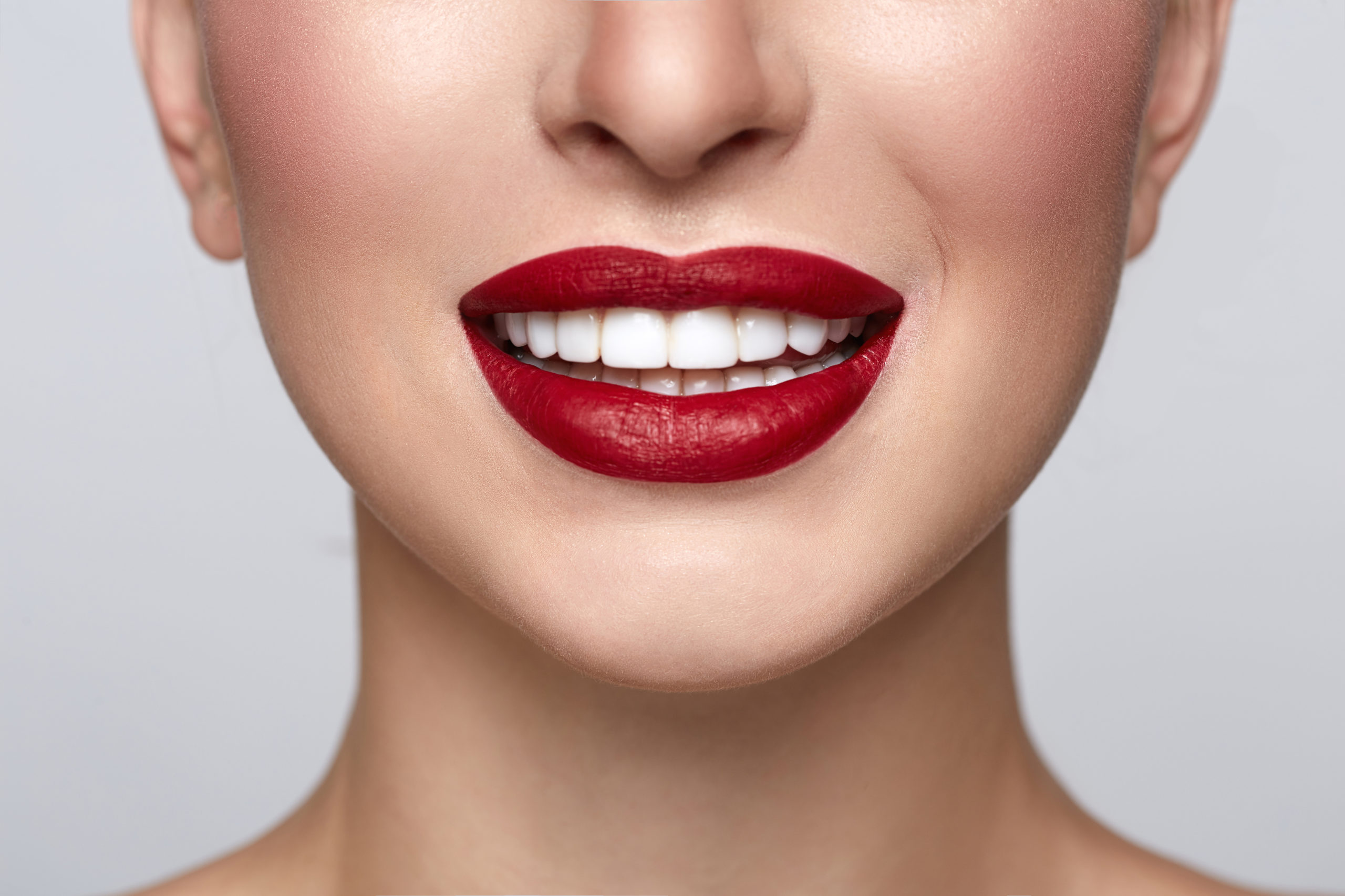 Everything You Need to Know About Teeth in a Day